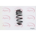 Apec Coil Spring Rear (ACS1588)