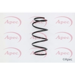 Apec Coil Spring Front (ACS1591)