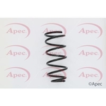 Apec Coil Spring Rear (ACS1592)