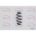 Apec Coil Spring Rear (ACS1593)