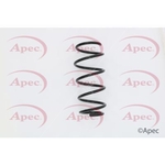 Apec Coil Spring Front (ACS1595)