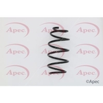 Apec Coil Spring Front (ACS1599)