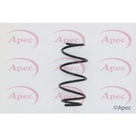 Apec Coil Spring Front (ACS1603)