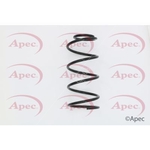 Apec Coil Spring Front (ACS1604)