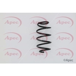 Apec Coil Spring Front (ACS1605)