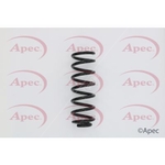 Apec Coil Spring Rear (ACS1607)