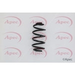 Apec Coil Spring Rear (ACS1612)