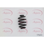 Apec Coil Spring Rear (ACS1613)