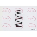 Apec Coil Spring Front (ACS1614)