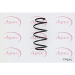 Apec Coil Spring Front (ACS1622)