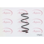 Apec Coil Spring Front (ACS1625)