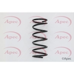 Apec Coil Spring Front (ACS1628)