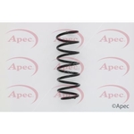 Apec Coil Spring Rear (ACS1629)