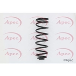 Apec Coil Spring Rear (ACS1632)