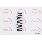 Apec Coil Spring Rear (ACS1633)