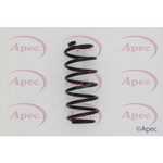 Apec Coil Spring Rear (ACS1639)