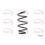 Apec Coil Spring Front (ACS1655)