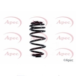 Apec Coil Spring Rear (ACS1662)