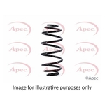 Apec Coil Spring Front (ACS1993)