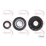 Apec Top Strut Mounting Kit (AKM1065)