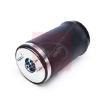 Apec Air Spring (AAS1018) Fits: BMW Rear Left