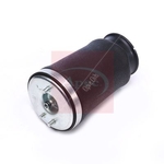Apec Air Spring (AAS1020) Fits: BMW Rear Right