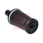 Apec Air Spring (AAS1026) Fits: Land Rover Front