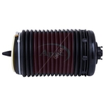 Apec Air Spring (AAS1082) Fits: VAG Rear