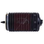Apec Air Spring (AAS1083) Fits: Audi Rear