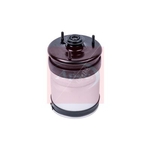 Apec Air Spring (AAS1183) Fits: Land Rover Rear