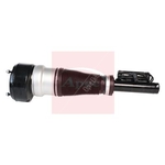 Apec Air Strut (AAS1044) Fits: Mercedes Front