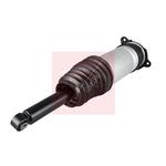 Apec Air Strut (AAS1073) Rear Right