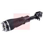 Apec Air Suspension Strut (AAS1024) Fits: Land Rover Front Right