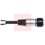 Apec Air Suspension Strut (AAS1041) Fits: Jaguar Front