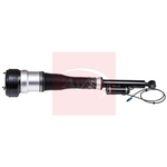 Apec Air Suspension Strut (AAS1065) Fits: Mercedes Rear Left
