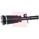 Apec Air Suspension Strut (AAS1098) Fits: BMW Front Right