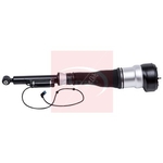 Apec Air Suspension Strut (AAS1102) Fits: Mercedes Rear Right