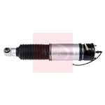 Apec Air Suspension Strut (AAS1109) Fits: BMW Rear Right