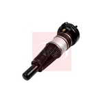 Apec Air Suspension Strut (AAS1119) Fits: Audi Front