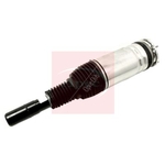 Apec Air Suspension Strut (AAS1130) Fits: Land Rover Front Right