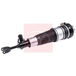 Apec Air Suspension Strut (AAS1160) Fits: Audi Front Left