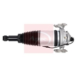 Apec Air Suspension Strut (AAS1181) Fits: VAG Rear Left