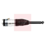 Apec Air Suspension Strut (AAS1187) Fits: Tesla Rear