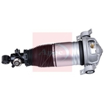 Apec Air Suspension Strut (AAS1188) Fits: Audi Rear Left