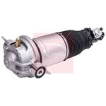 Apec Air Suspension Strut (AAS1189) Fits: Audi Rear Right