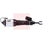Apec Air Suspension Strut (AAS1196) Fits: VAG Front Left