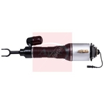 Apec Air Suspension Strut (AAS1197) Fits: VAG Front Right