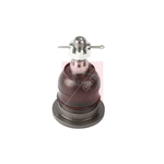 Apec Ball Joint (AST0355) Fits: Honda Rear Axle