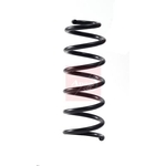 Apec Coil Spring - Front (ACS2251) Fits: Mercedes