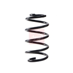 Apec Coil Spring - Front (ACS2256) Fits: Ford